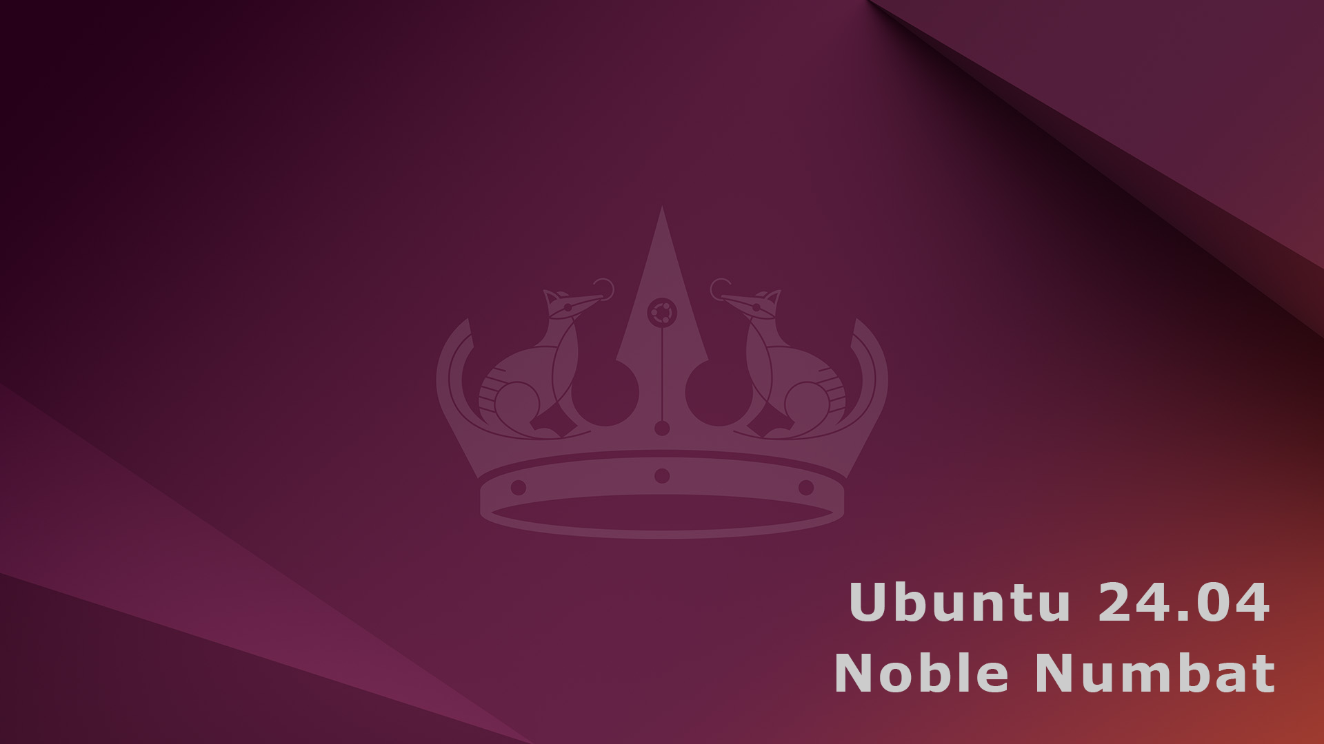 Ubuntu 24.04 環境を整える